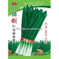 Vigorously Growing Chinese Chive Seeds Leek Seeds For Growing- Green Sword F1